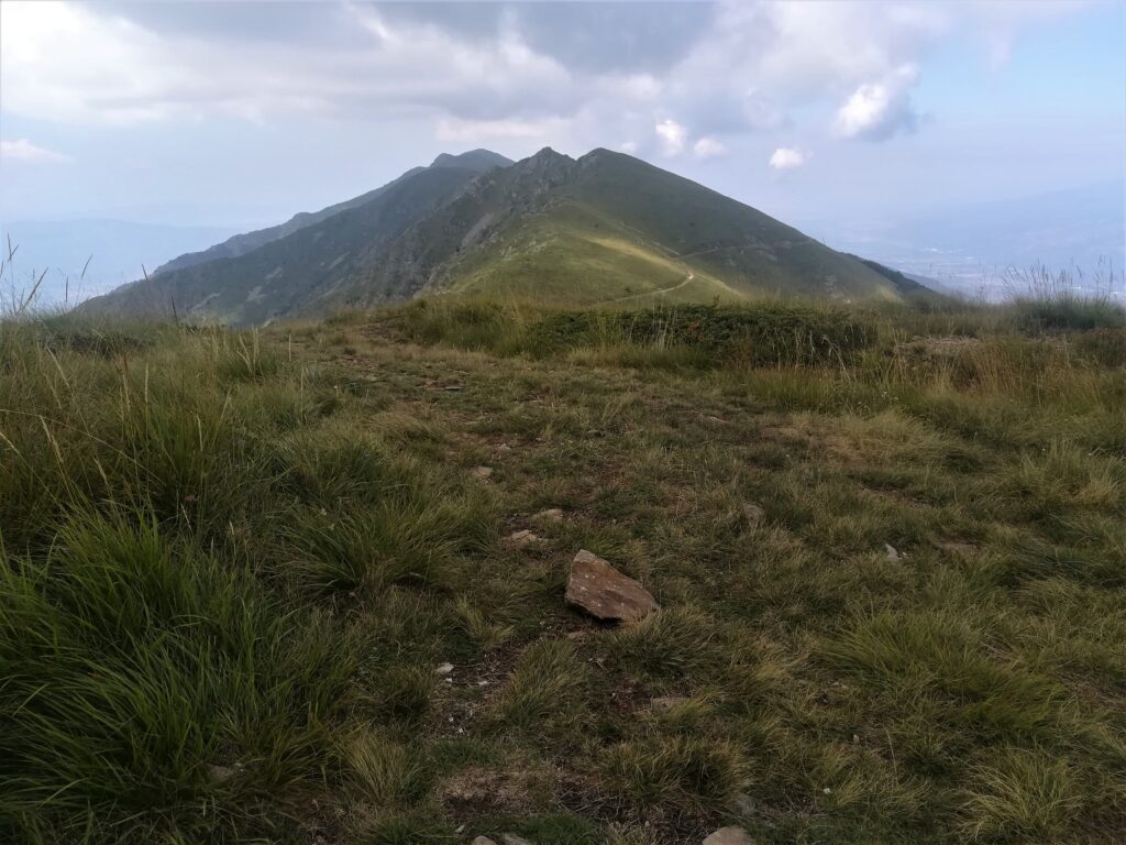 Връх Радомир