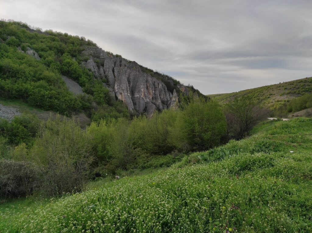 Реселешки каменни кукли